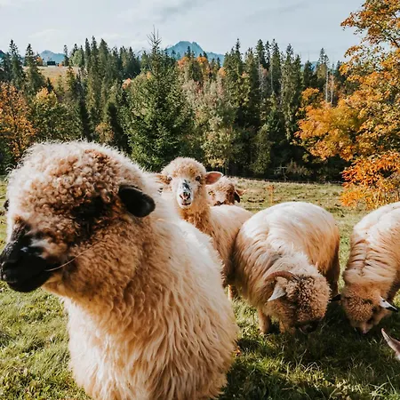 Mountain Base - Dom Hrabiego - Ac