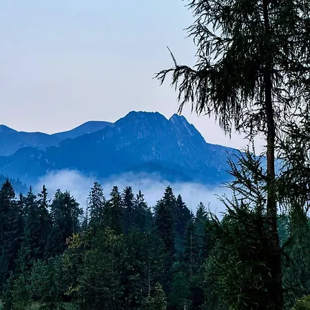 Mountain Base - Dom Hrabiego - Ac Chalet Zakopane