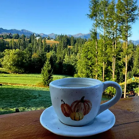 Dom Hrabiego Tatrzanska Polana With Mountain View, Private Jacuzzi & Free Parking By Downtown Apartments Alpehytte Zakopane