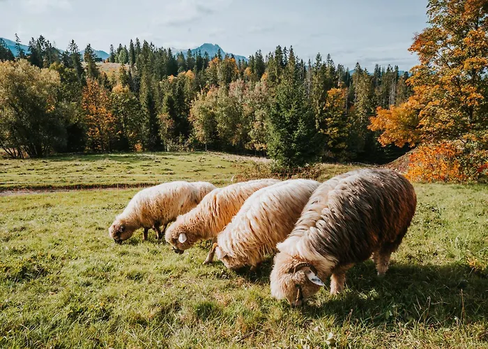 Mountain Base - Dom Hrabiego - Ac 木屋