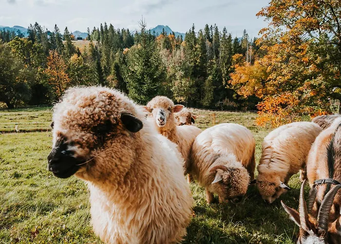 Mountain Base - Dom Hrabiego - Ac