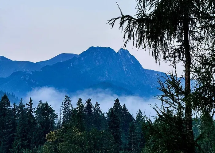 Mountain Base - Dom Hrabiego - Ac 木屋 扎科帕内