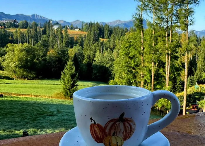 Mountain Base - Dom Hrabiego - Ac 木屋 扎科帕内